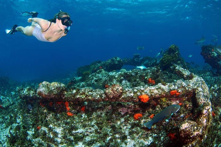 Abrolhos Islands 5-Day Expedition Cruise from Geraldton photo 5