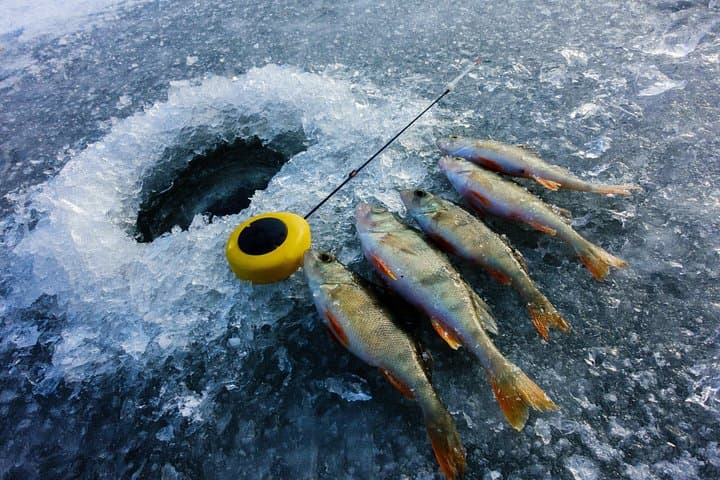 Rovaniemi Snowmobile Safari and Ice Fishing: Lapland Day Trip photo 1