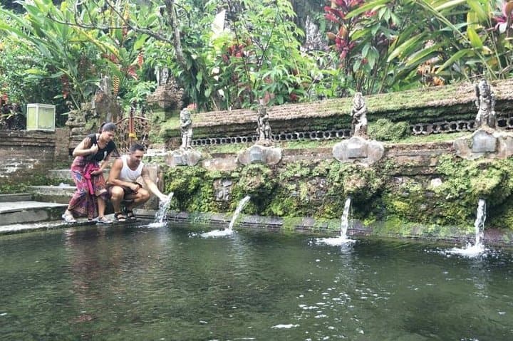 Custom Bali Private Driver: 10-Hour Flexible Ubud & Island Highlights Tour photo 3