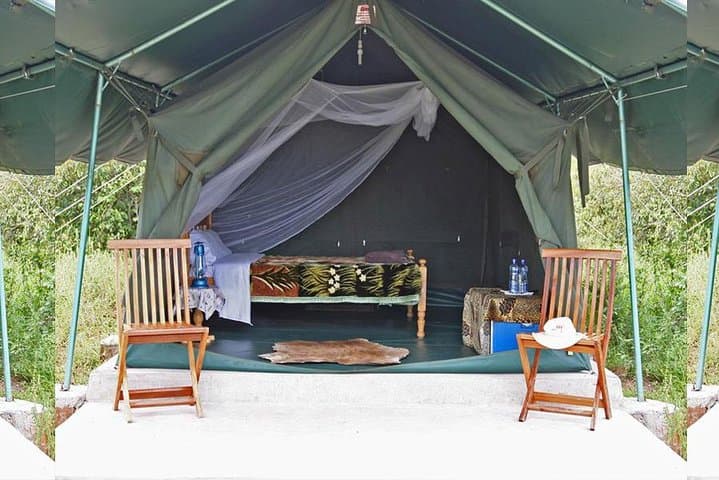 3-Day Maasai Mara Safari: Big Five Game Drives, Mara River & Maasai Village Encounters photo 4
