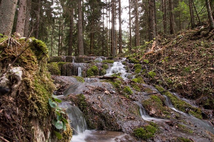 Skakavac Waterfall Hike from Sarajevo: Private Day Trek to Bosnia’s Tallest Cascade photo 4