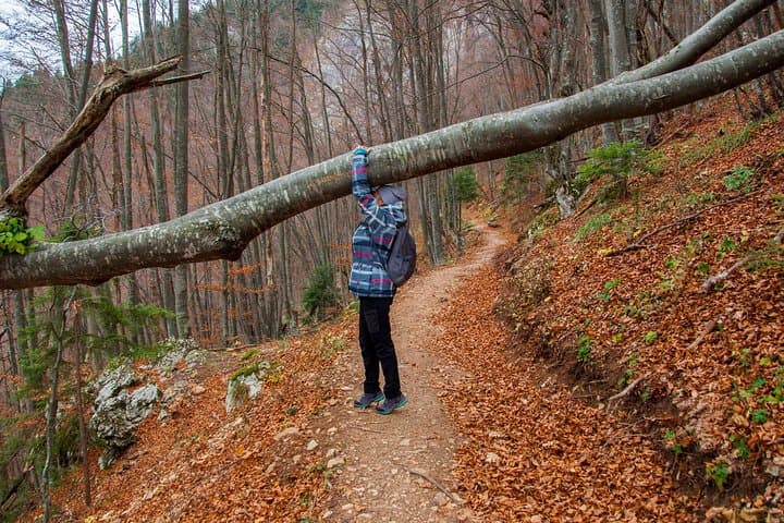Skakavac Waterfall Hike from Sarajevo: Private Day Trek to Bosnia’s Tallest Cascade photo 5