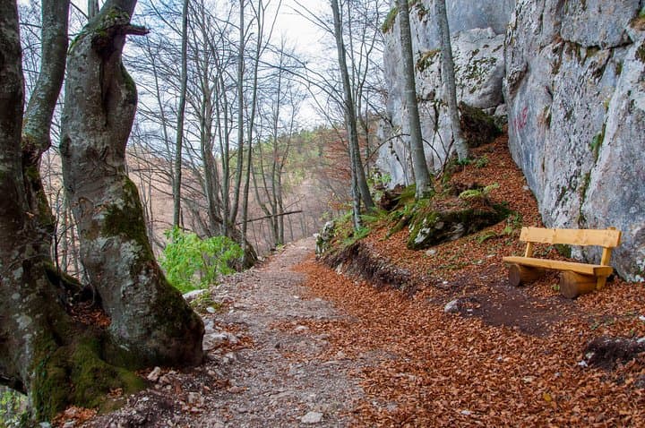 Skakavac Waterfall Hike from Sarajevo: Private Day Trek to Bosnia’s Tallest Cascade photo 6
