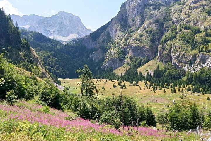 Private Trnovacko Lake Hike — Sutjeska National Park Day Trip from Sarajevo photo 5