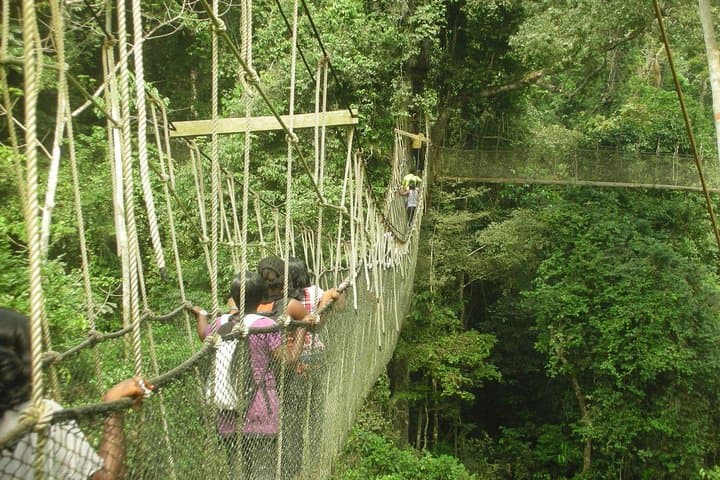 Elmina Guided Day Tour: Elmina Castle & Kakum Canopy Walk Experience photo 6