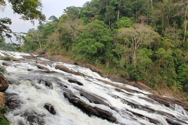 Athirappally to Vazhachal: Full-Day Waterfall Tour from Kochi