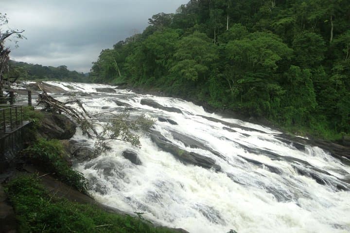 Athirappally to Vazhachal: Full-Day Waterfall Tour from Kochi photo 4