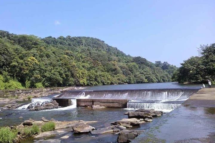 Athirappally to Vazhachal: Full-Day Waterfall Tour from Kochi photo 5