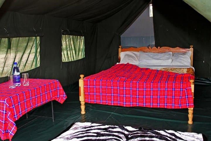 7-Day Kenya Tented Camp Wildlife Safari: Maasai Mara, Nakuru, Naivasha & Amboseli