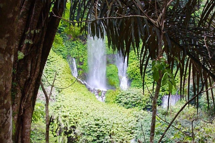sendang-gile-tiu-kelep-waterfalls-day-tour-senaru-lombok photo 4