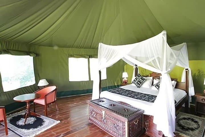 5-Day Big Five Safari from Nairobi: Maasai Mara, Lake Nakuru & Hell's Gate photo 2
