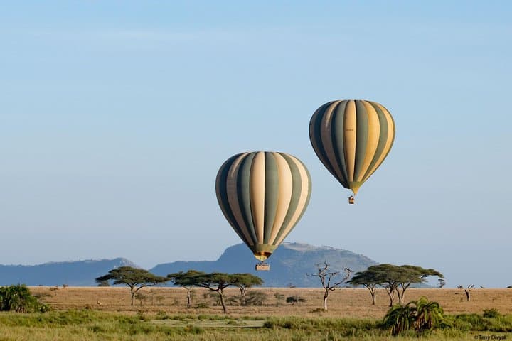 3-Day Masai Mara Balloon Safari: Big Five Game Drives & Dawn Balloon Ride photo 1