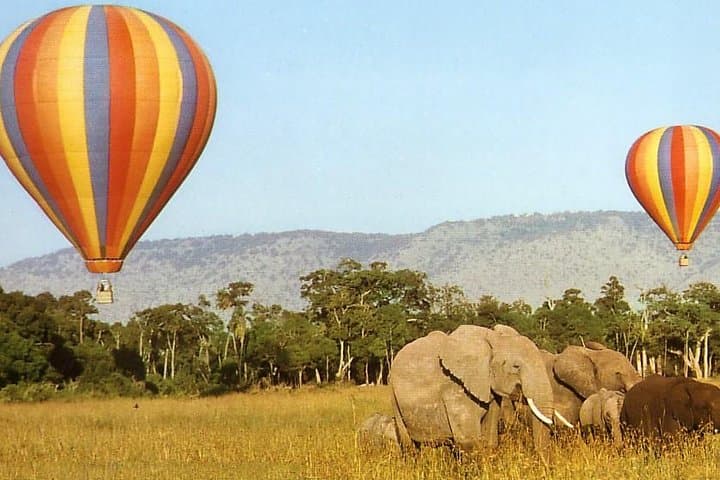 3-Day Masai Mara Balloon Safari: Big Five Game Drives & Dawn Balloon Ride photo 2