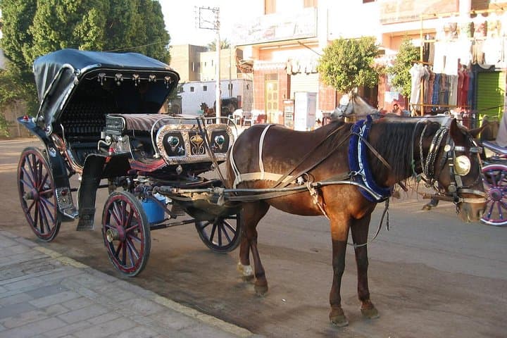 Cairo by Night: Horse-Drawn Carriages, Corniche Lights & Cairo Tower Views photo 4