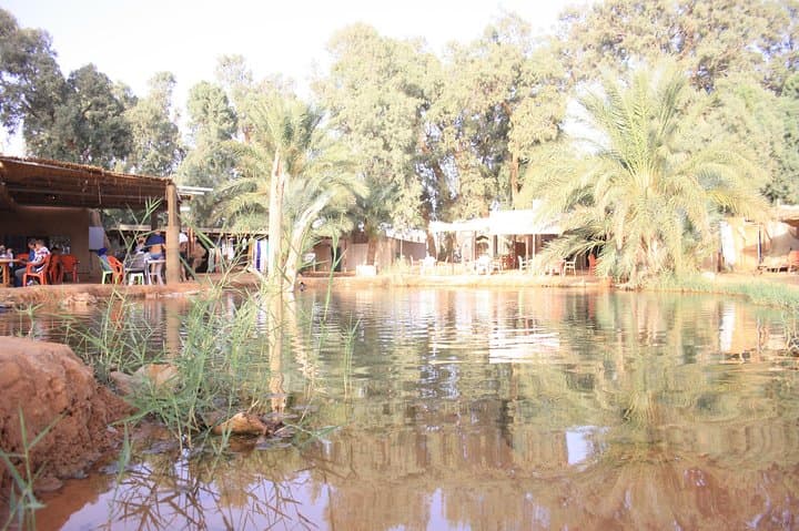 Desert Oasis Escape: 2-Day Ksar Ghilane, Chenini & Matmata Tour photo 5