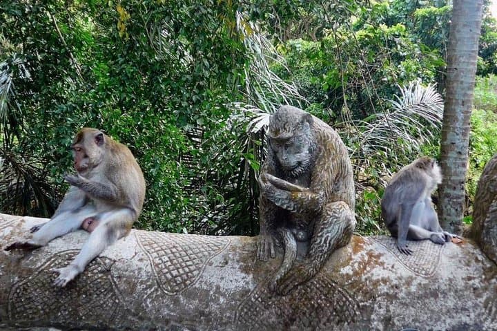 Custom Bali Private Driver: 10-Hour Flexible Ubud & Island Highlights Tour photo 4