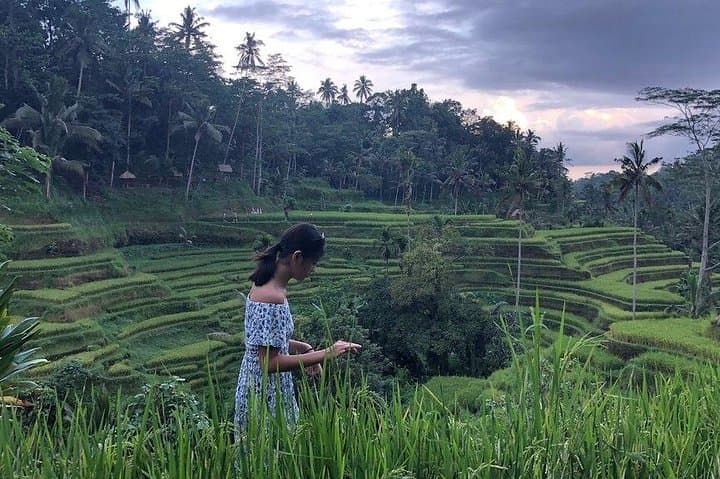 Custom Bali Private Driver: 10-Hour Flexible Ubud & Island Highlights Tour photo 5