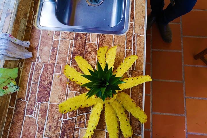 Citrus & Pineapple Farm Tour near Bucaramanga — Private Cultivations Visit & Tasting photo 4