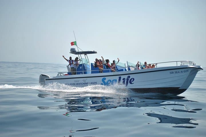 Dolphin Watching from Lagos Marina: Sealife Sea Safari with Marine Biologists photo 2