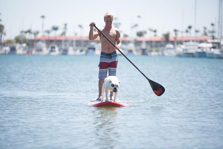 Glide the Las Olas Canals: 1.5-Hour Stand-Up Paddle Board Lesson in Fort Lauderdale photo 1