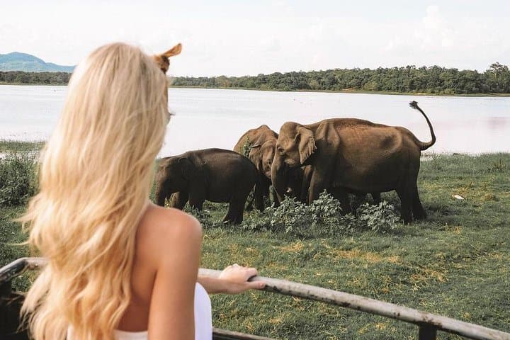 8-Day Private Sri Lanka Tour: Cultural Heritage, Hill Country & Wildlife photo 6