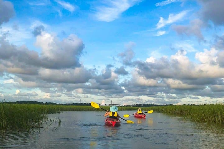 Hilton Head 2-Hour Guided Kayak Nature Tour — Broad Creek Salt Marsh Paddle photo 3