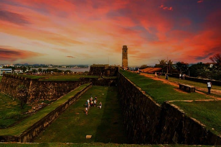 Galle Day Trip & Madu River Mangrove Safari from Colombo photo 6