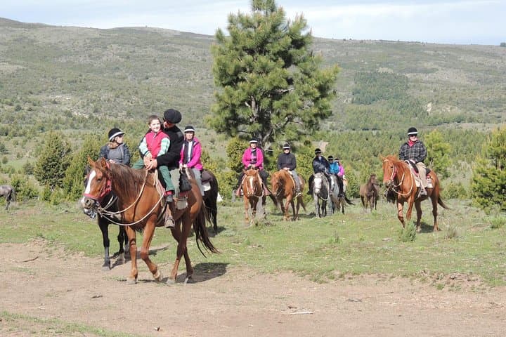 Horseback Riding and Asado in San Carlos de Bariloche — Ñires, Andes Views & Criollo Lunch