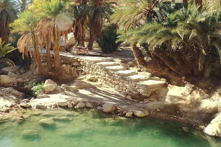 Oasis Safari: 2-Day Djerba to Tozeur Desert Adventure photo 2