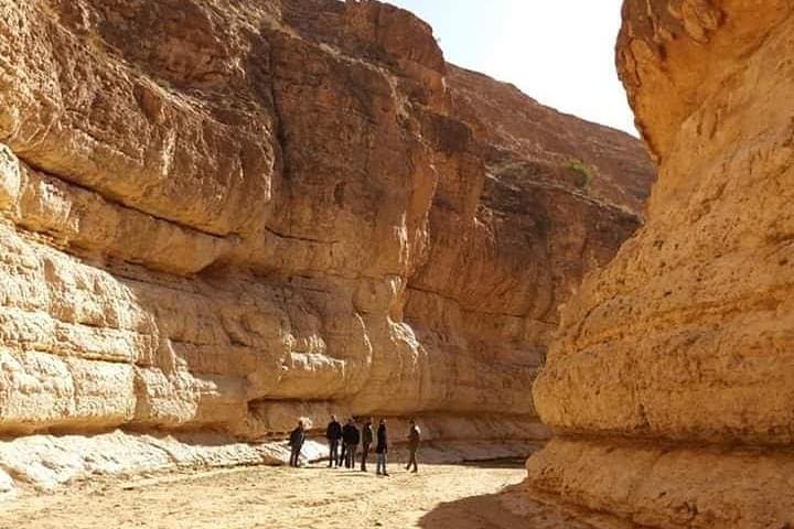Oasis Safari: 2-Day Djerba to Tozeur Desert Adventure photo 3