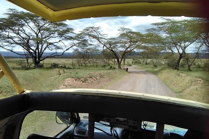 Day Safari to Lake Nakuru National Park and Naivasha Boat Ride from Nairobi
