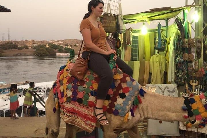 Soheil Island Boat Tour — Nubian Village Cruise from Aswan photo 3