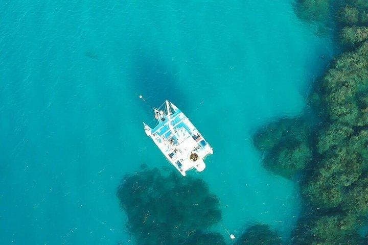 Catamaran Snorkel & Dunn's River Falls Day Trip from Montego Bay