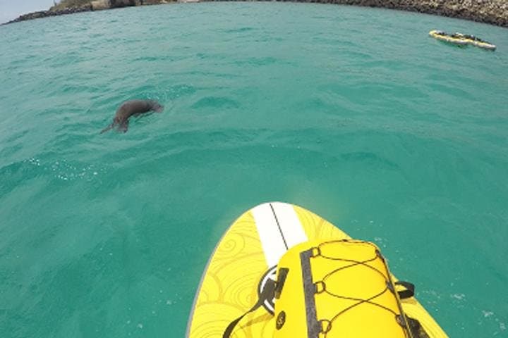 SUP in Super Bay: Paddle San Cristóbal’s Shipwreck Bay with Sea Lions photo 2
