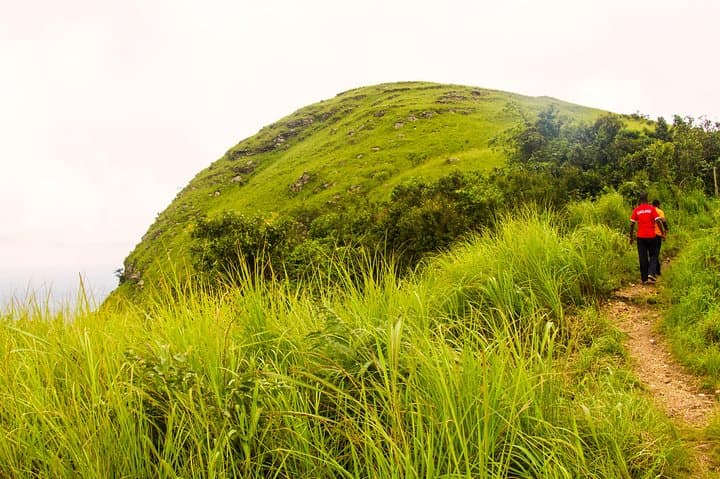 Eco Volta Expedition: Wli Falls, Mount Afadja & Tafi Monkey Sanctuary Day Tour photo 5