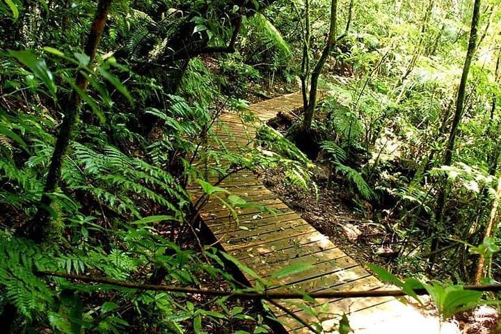 Cloud-Forest Hike in La Tigra National Park — Tegucigalpa Day Trip photo 5
