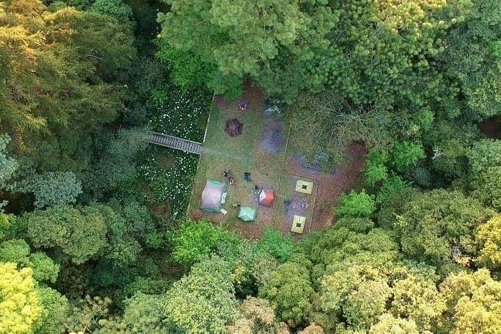 Cloud-Forest Hike in La Tigra National Park — Tegucigalpa Day Trip photo 6