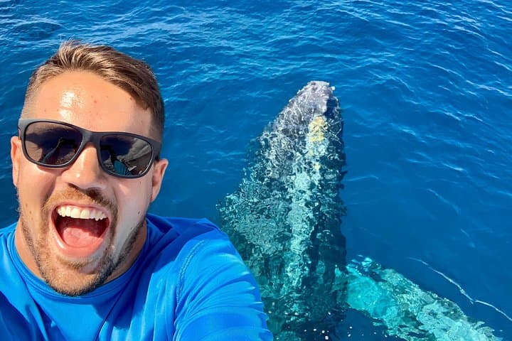 Maalaea Whale Watching Aboard the Quicksilver: 2-Hour Maui Catamaran Cruise