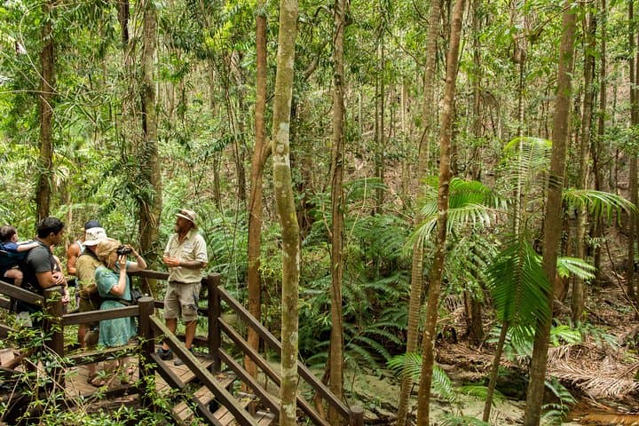 K'gari (Fraser Island) 2-Day Explorer — Lake Wabby, Hammerstone & Champagne Pools photo 2