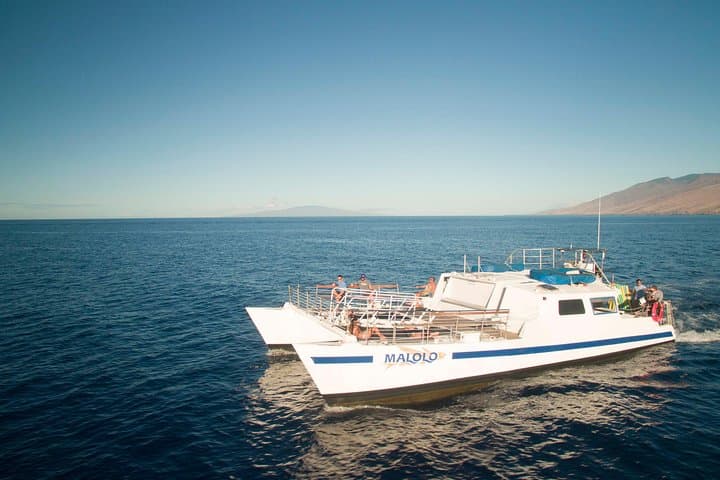 Ma'alaea Whale Watch Aboard the Malolo: 2-Hour Catamaran Cruise photo 3