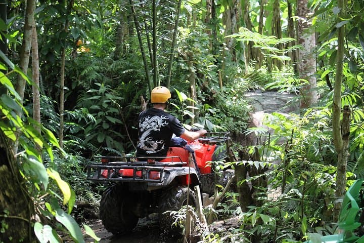 Ubud ATV Quad Adventure: 1.5–2 Hour Off‑Road Ride Through Rice Fields, Caves & Mud photo 4