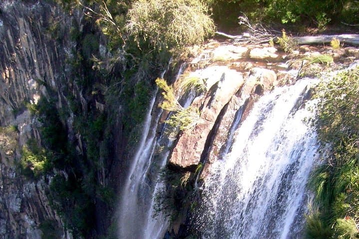 Byron Bay Hinterland Day Tour: Rainforest Walk & Minyon Falls Swim photo 5