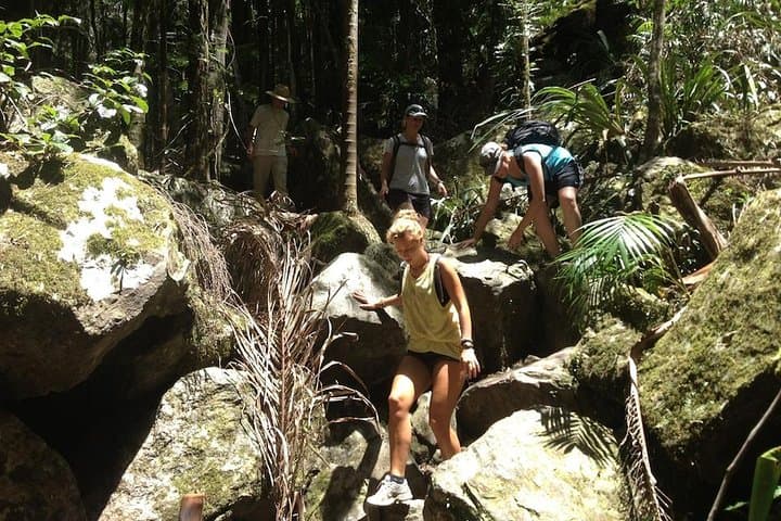 Byron Bay Hinterland Day Tour: Rainforest Walk & Minyon Falls Swim photo 6