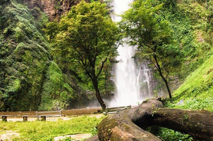 Eco Volta Expedition: Wli Falls, Mount Afadja & Tafi Monkey Sanctuary Day Tour
