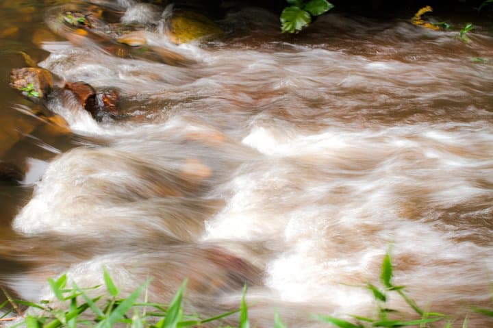 Eco Volta Expedition: Wli Falls, Mount Afadja & Tafi Monkey Sanctuary Day Tour photo 6