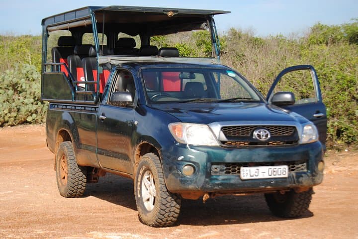 Half-Day Private Safari to Yala National Park from Tangalle — Leopard, Elephant & Sloth Bear Viewing photo 1