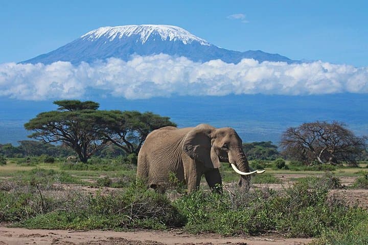 7-Day Kenya Extreme Safari: Amboseli, Lake Naivasha & Maasai Mara Wildlife Adventure photo 3