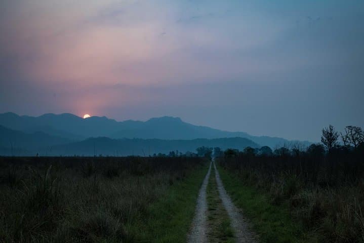 Dhikala Tiger Safari – 2N Jim Corbett National Park Dhikala Zone Wildlife Safari photo 2