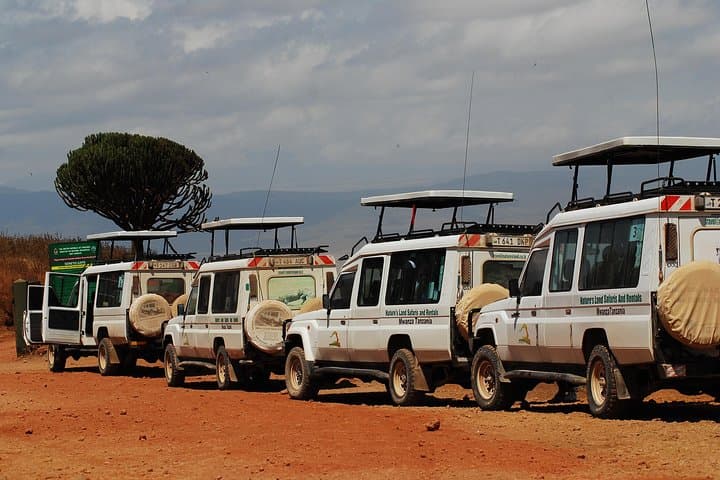 2-Day Serengeti Safari from Mwanza: Overnight Game Drive & Camping photo 2
