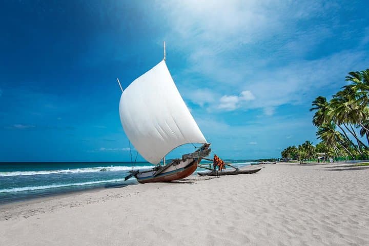 Sri Lanka 14-Day Heritage & Beach Escape — Cultural Triangle, Hill Country and Trincomalee photo 4